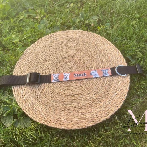 accessoires pour animaux, collier personnalisé, pendentif personnalisé